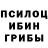 Псилоцибиновые грибы Magic Shrooms Gracieanna