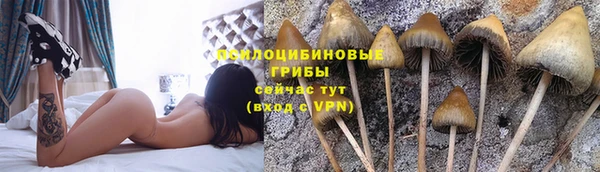 мескалин Абинск